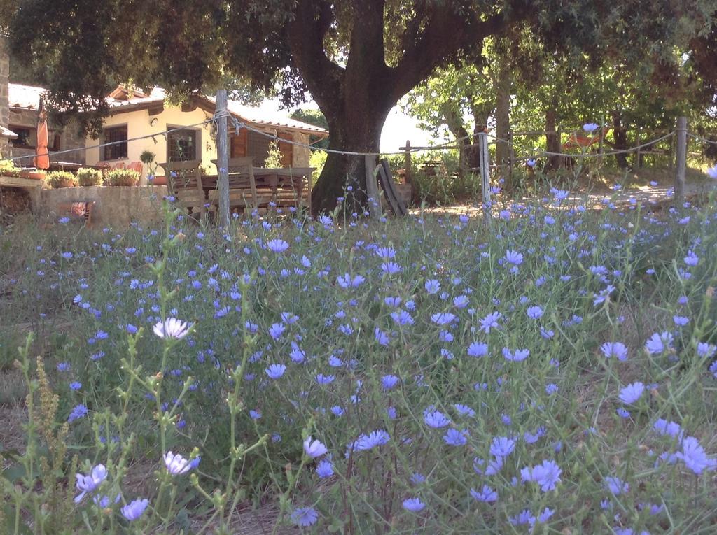 Il Soffio Di Eolo Acomodação com café da manhã Bagnoregio Exterior foto